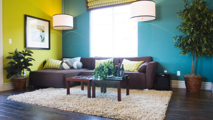 Tips for Decorating