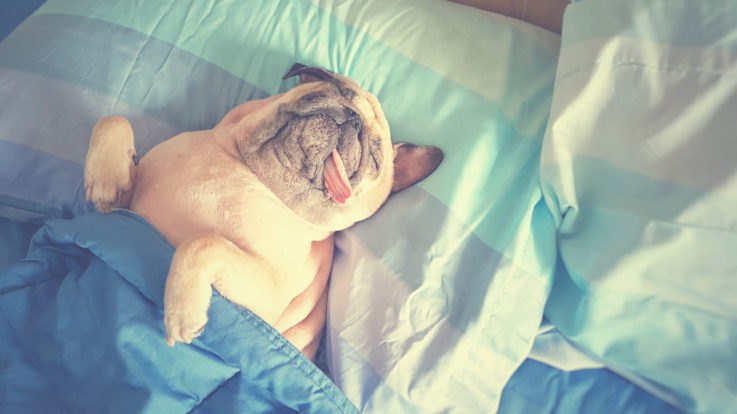 What Your Bedroom Furniture Says About Your Personality
